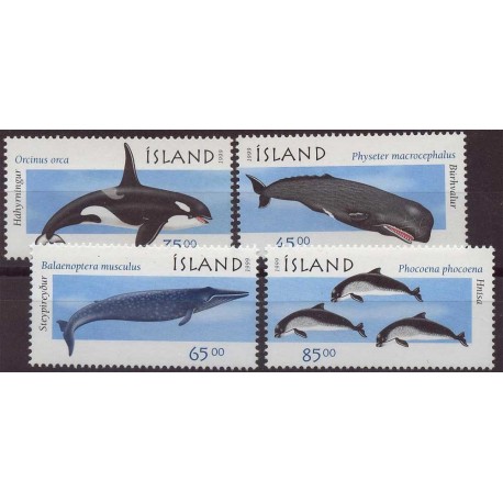 Islandia - Nr 905 - 08 1999r - Ssaki morskie