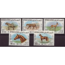 Irak - Nr 566 - 70 1969r - Ssaki - Konie