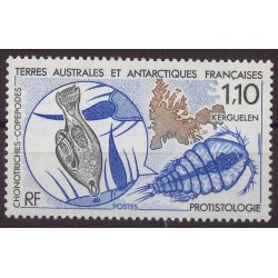 TAAF - Nr 259 1990r - Ryba