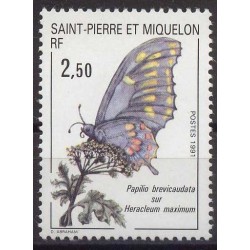 SPM - Nr 608 1991r - Motyl