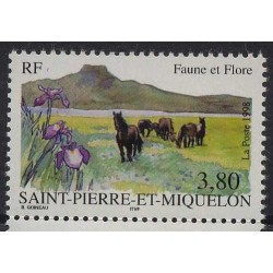 SPM - Nr 753 1998r - Konie
