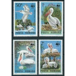 Rumunia - Nr 4104 - 07 1984r - WWF - Ptaki