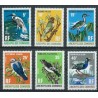 Komory - Nr 113 - 18 1971r - Ptaki