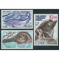 TAAF - Nr 117 - 19 1977r - Ptaki - Ssaki morskie - Ryba