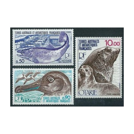 TAAF - Nr 117 - 19 1977r - Ptaki - Ssaki morskie - Ryba