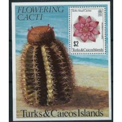 Turks & Caicos - Bl 29 1981r - Kwiaty