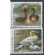 Islandia - Nr 738 - 39 1991r - Ptaki