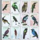 St. Maarten - Nr 137 - 48 2012r - Ptaki