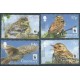 Guernsey - Nr 1606 - 09 2017r - WWF - Ptaki