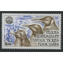 TAAF - Nr 167 1982r - Ptaki