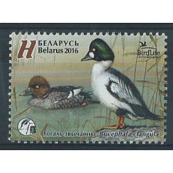 Białoruś - Nr 1108 2016r - Ptaki