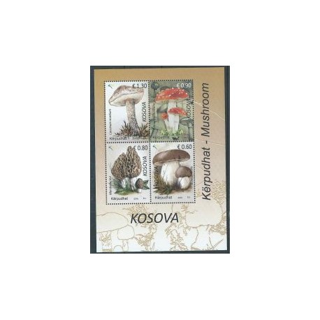 Kosovo - Bl 38 2016r - Grzyby