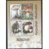 Kosovo - Bl 38 2016r - Grzyby