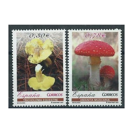 Hiszpania - Nr 4230 - 31 2007r - Grzyby