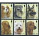 Guernsey - Nr 884 - 89 2001r - Psy