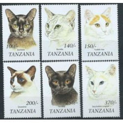 Tanzania - Nr 3374 - 79 1999r - Koty