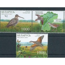 Białoruś - Nr 670 - 71 Pasek 2007r - Ptaki