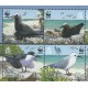 Pitcairn - Nr 717 - 20 Pasek 2007r - WWF - Ptak