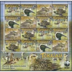 Tokelau - Nr 368 - 71 Klb 2007r - WWF - Ptaki