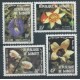 Djibouti - Nr 321 - 24 1981r - Kwiaty