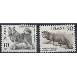 Islandia - Nr 550 - 511980r - Pies - Ssaki