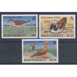 Montserrat - Nr 731 - 331988r - Ptaki