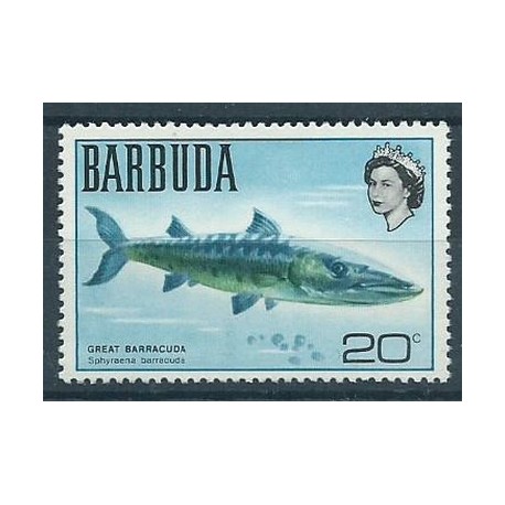 Barbuda - Nr 0621970r - Ryba