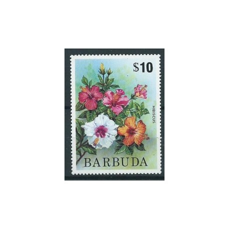 Barbuda - Nr 2331975r - Kwiaty