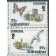 Gibraltar - Nr 503 - 041986r - Ptaki