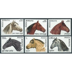 Rumunia - Nr 2888 - 931970r - Konie