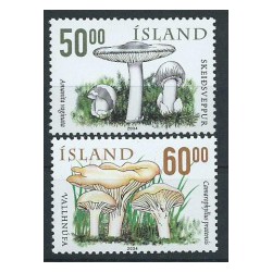 Islandia - Nr 1071 - 722004r - Grzyby