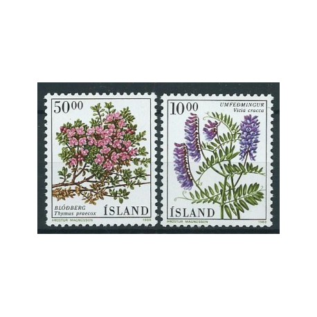 Islandia - Nr 689 - 901988r - Kwiaty