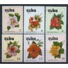 Kuba - Nr 2356 - 61 1978r - Kwiaty