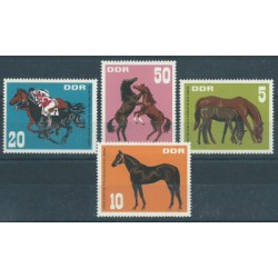 NRD - Nr 1302 - 051967r - Konie