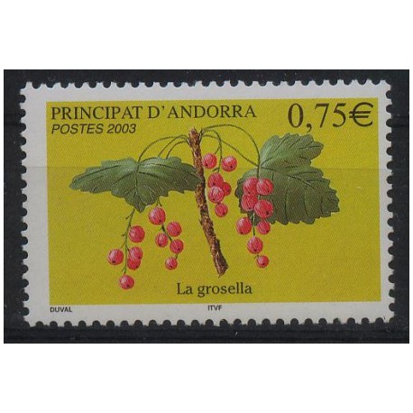 Andora - Nr 6052003r - Owoce