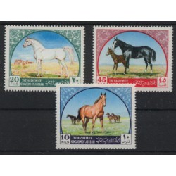 Jordania - Nr 698 - 001969r - Konie