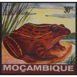 Mozambik - Bl 171985r - Płazy