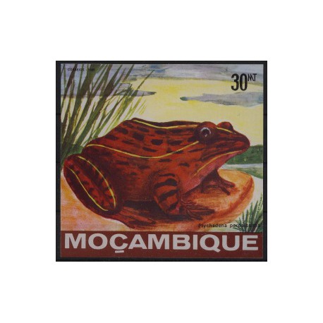 Mozambik - Bl 171985r - Płazy