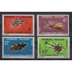 Madagaskar - Nr 546 - 491966r - Insekty