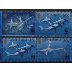 Montserrat - Nr 1109 - 12 Pasek1999r - WWF - Ryby