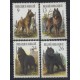 Belgia - Nr 2265 - 681986r - Psy