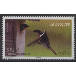 SPM - Nr 11172012r - Ptaki