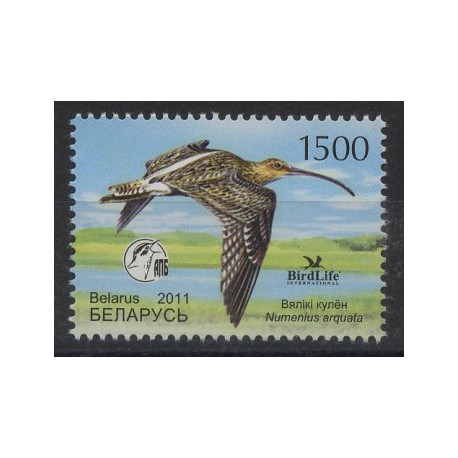 Białoruś - Nr 8492011r - Ptaki
