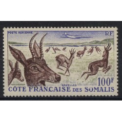 Somalia - Nr 3171958r - Ssaki