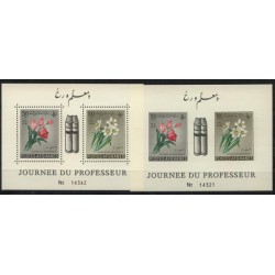 Afganistan - Bl 18 A.B1961r - Kwiaty