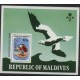 Malediwy - Bl 461977r - Ptaki