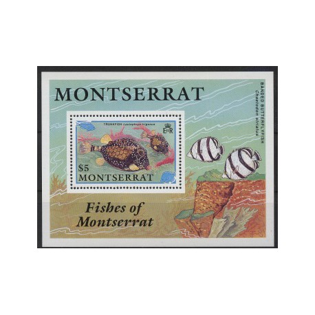 Montserrat - Bl 60 1991r - Ryby