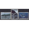 Norfolk - Nr 581 - 83 1995r - Ssaki morskie