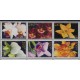 Antyle Hol. - Nr 1440 - 452006r - Kwiaty