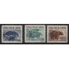 Albania - Nr 627 - 29 1961r - Ssaki